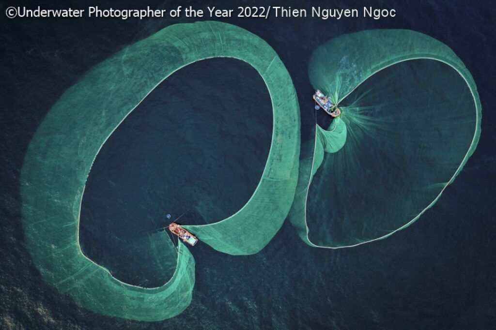 Названо найкращі підводні знімки 2022 року.  Фото