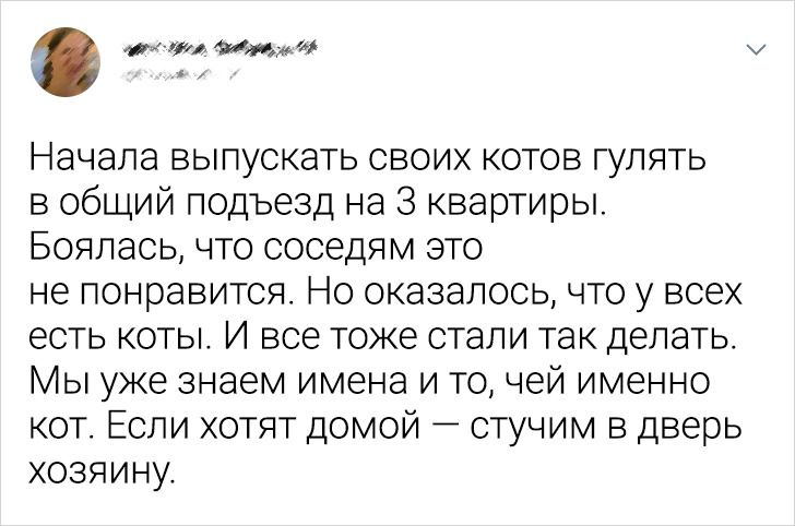 20 доказів того, що наші котейки не завжди ті булочки, за які себе видають