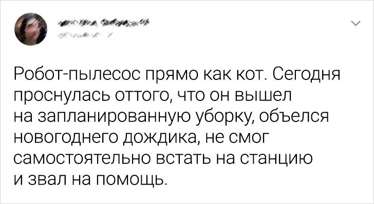 20 доказів того, що наші котейки не завжди ті булочки, за які себе видають