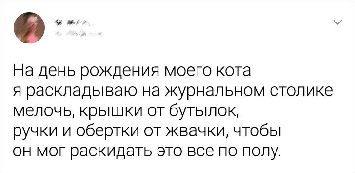 20 доказательств того, что наши котейки не всегда те булочки, за которых себя выдают