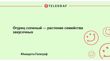 Разбавьте этот вечер яркими красками: шутки для хорошего настроения