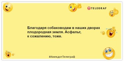 Анекдоти про тварин - Завдяки собаківникам у наших дворах родюча земля.  Асфальт, на жаль, також.