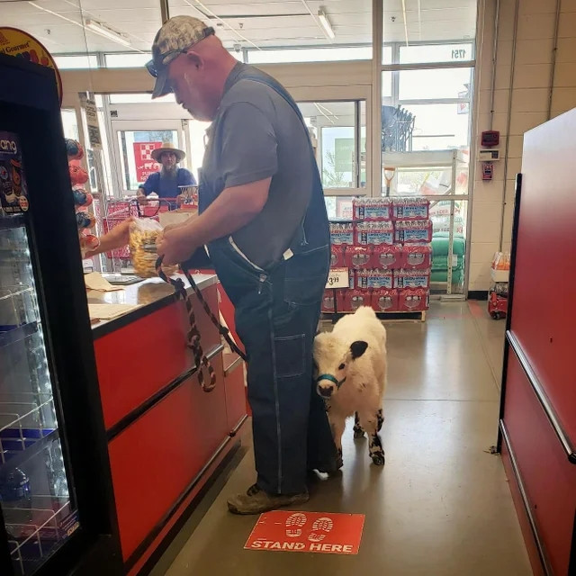 Чудаки и чудачества в Walmart (19 фото)