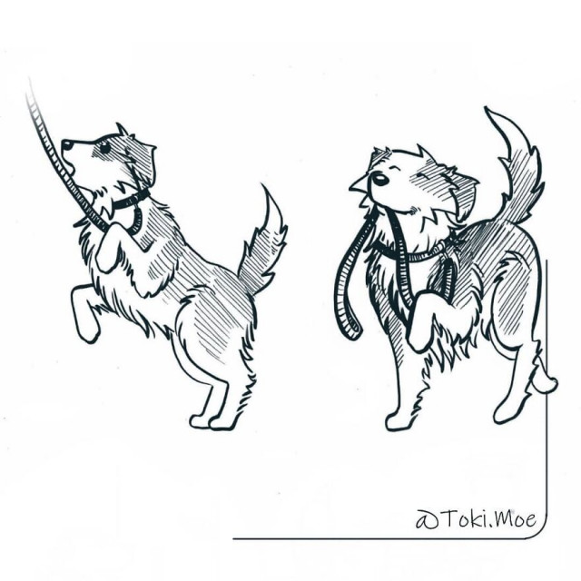 Художник за допомогою коміксів показує, як жити з кішкою та собакою