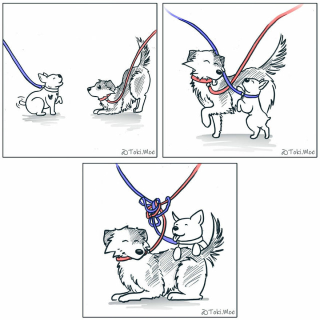 Художник с помощью комиксов показывает, каково жить с кошкой и собакой 