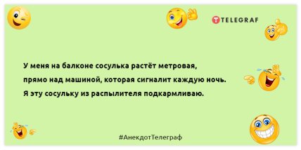 Іноді хочеться взяти все та кинути.  Лише де взяти?  Позитивна добірка жартів