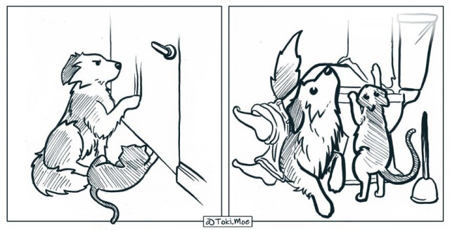 Художник с помощью комиксов показывает, каково жить с кошкой и собакой (фото)