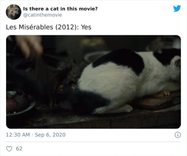 Twitter-аккаунт, отвечающий на очень важный вопрос: \"Есть ли кошка в этом фильме?\" (фото)