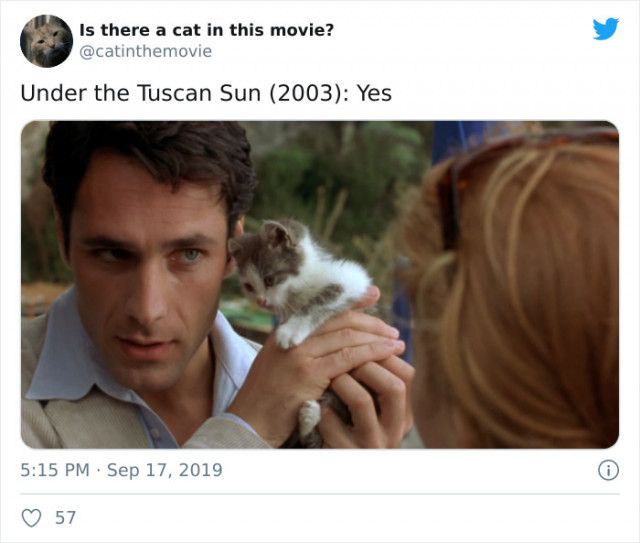 Twitter-аккаунт, отвечающий на очень важный вопрос: \"Есть ли кошка в этом фильме?\" (фото)
