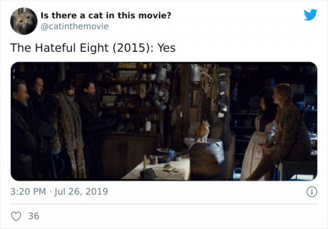 Twitter-аккаунт, отвечающий на очень важный вопрос: \"Есть ли кошка в этом фильме?\" (фото)