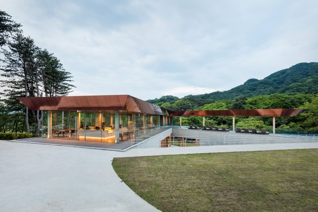 У Південній Кореї ліс перетворили на еко-готель.  Фото
