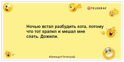 Приколи з котами - Вночі став розбудити кота, бо той хропів і заважав мені спати.  Дожили.