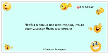 Анекдоти про сім'ю - Щоб у сім'ї все йшло гладко, хтось один має бути шовковим