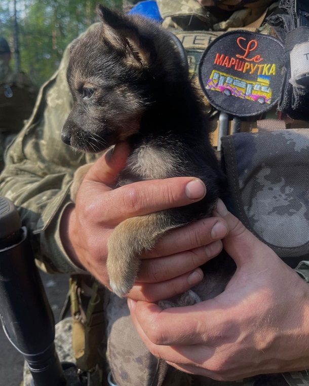 Никитюк показала украинцам щенка с передовой (ФОТО)