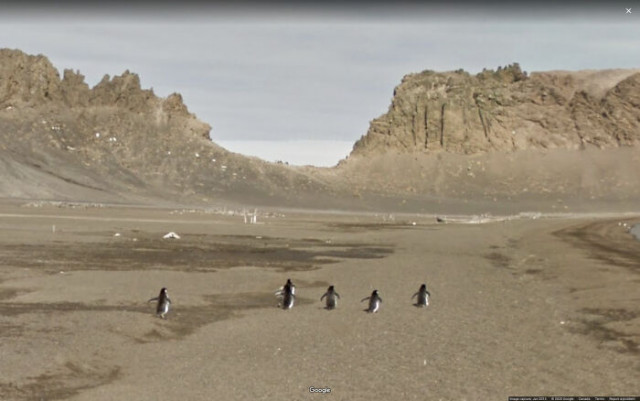 Всё самое странное и прикольное с Google Street View 