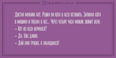 «Все вы бабы такие»: свежие анекдоты для хорошего настроения 