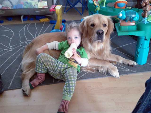 В доме, где растёт ребёнок, должна быть собака, и вот почему  (фото)