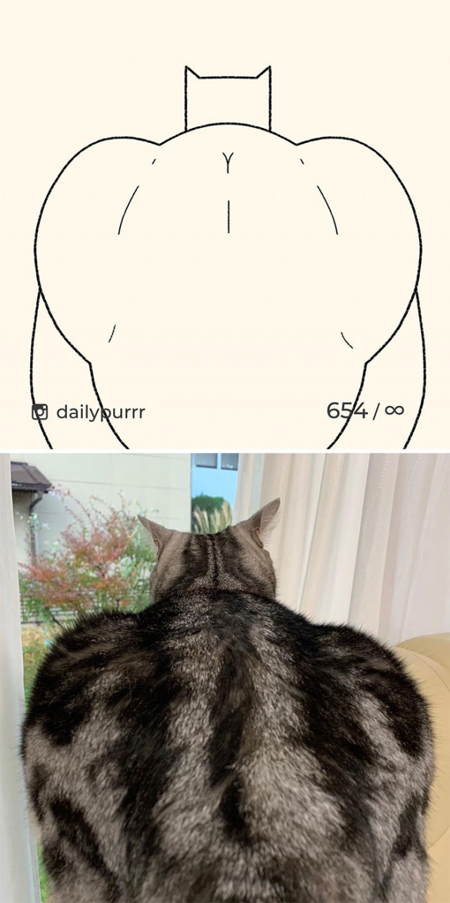 Самые минималистичные рисунки кошек (фото)
