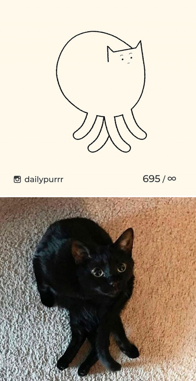 Самые минималистичные рисунки кошек (фото)