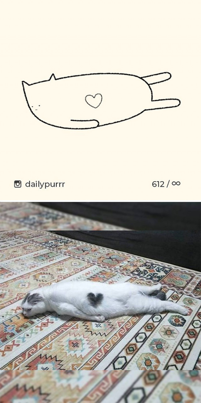 Мінімалістичні малюнки кішок (фото)