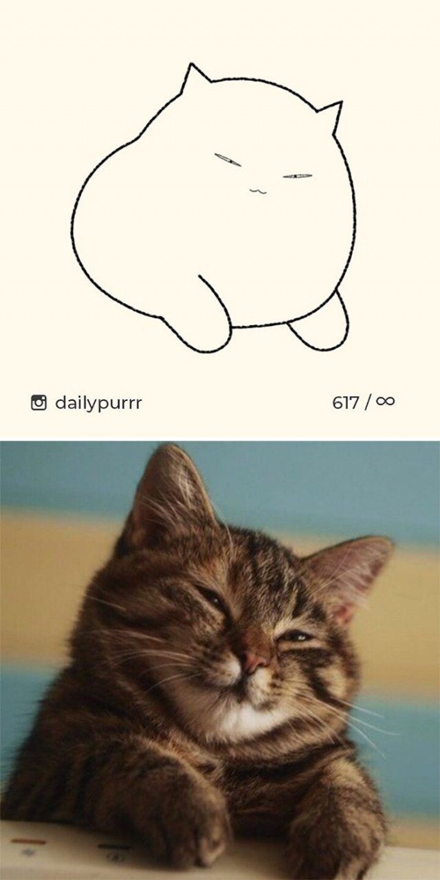 Мінімалістичні малюнки кішок (фото)