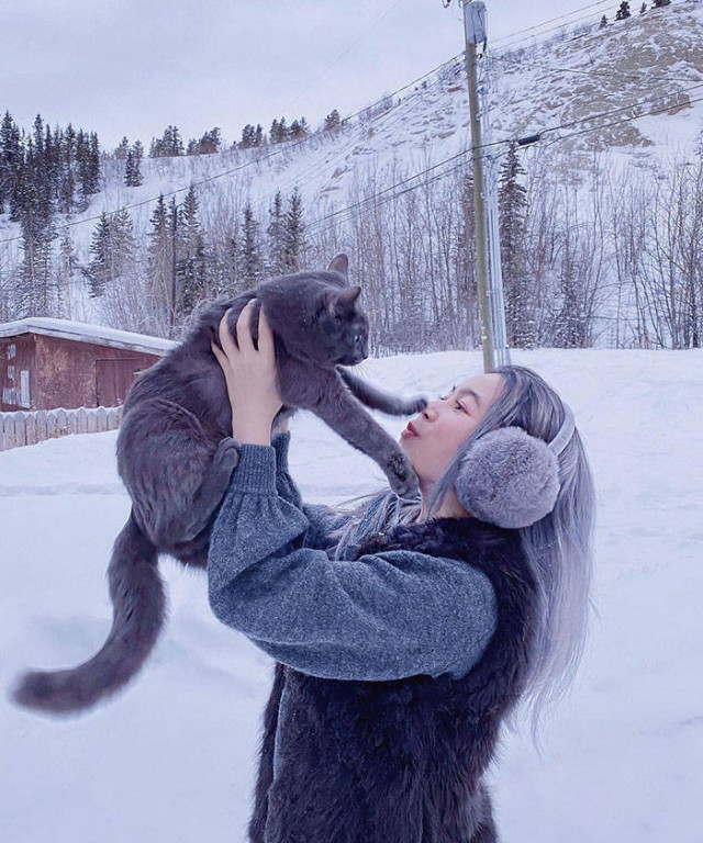 Извини, сегодня никакой котячей нежности (фото)