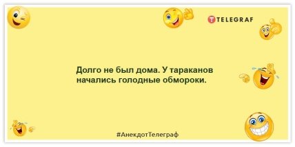 Анекдоти про тарганів - Довго не був удома.  У тарганів почалися голодні непритомності.