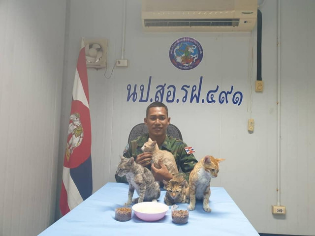 Моряк береговой охраны Таиланда спас с тонущего судна четырёх кошек, переправив каждую у себя на спине в безопасное место