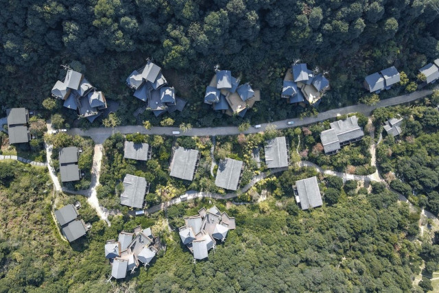 Архітектори створили химерну "селу" на деревах у Ханчжоу