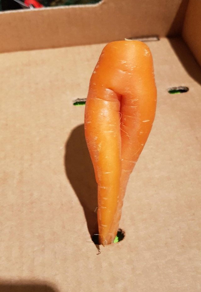 Самая большая в мире фотоколлекция соблазнительной моркови (фото)