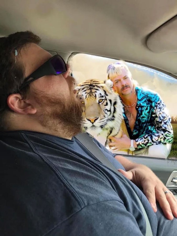 Чоловік, який заснув в авто, стараннями дружини став зіркою мемів.