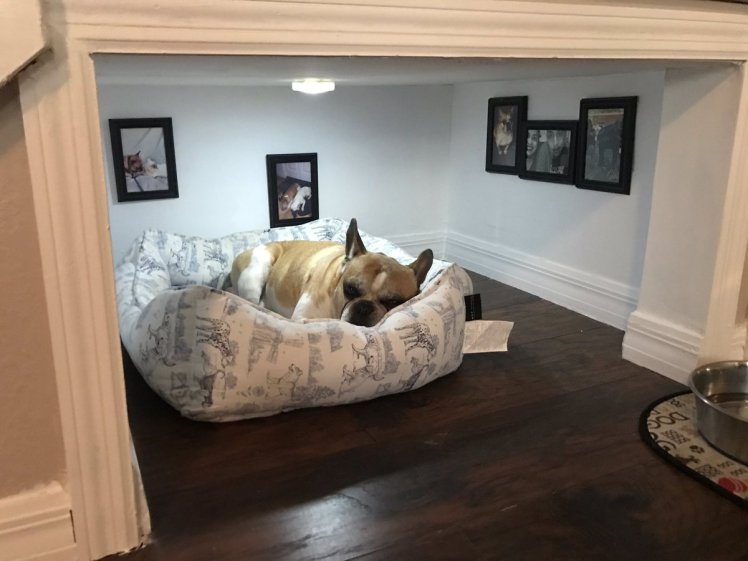 Заядлый собачник построил для своего питомца отдельную спальную комнату