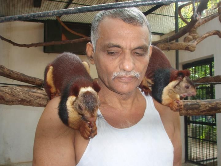 Индийский доктор десятилетиями собирает у себя дома детенышей убитых животных