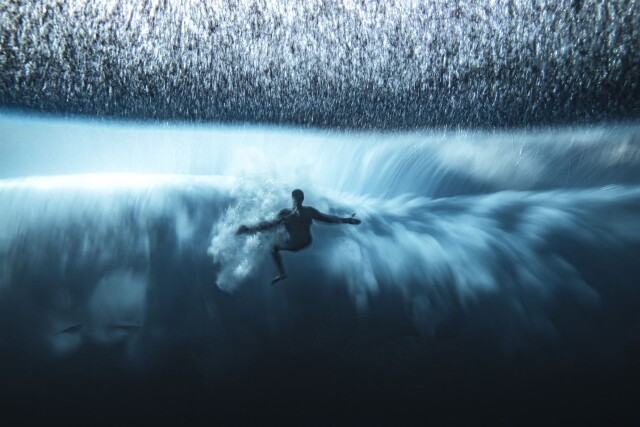 Захватывающие фотографии победителей конкурса Ocean Photographer of the Year 2022