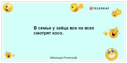 Анекдоти про тварин - про зайців