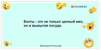 Анекдоти про тварин - про еноту