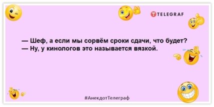 анекдот про шефа