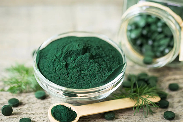 Полезная и таинственная спирулина: секреты сине-зеленой водоросли