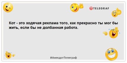 анекдот про кота та рекламу