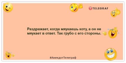 Анекдоти про котів і котів - Дратує, коли нявкаєш коту, а він не нявкає у відповідь.  Так брутально з його боку.