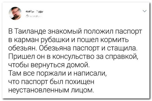 Прикольні коментарі із соціальних мереж