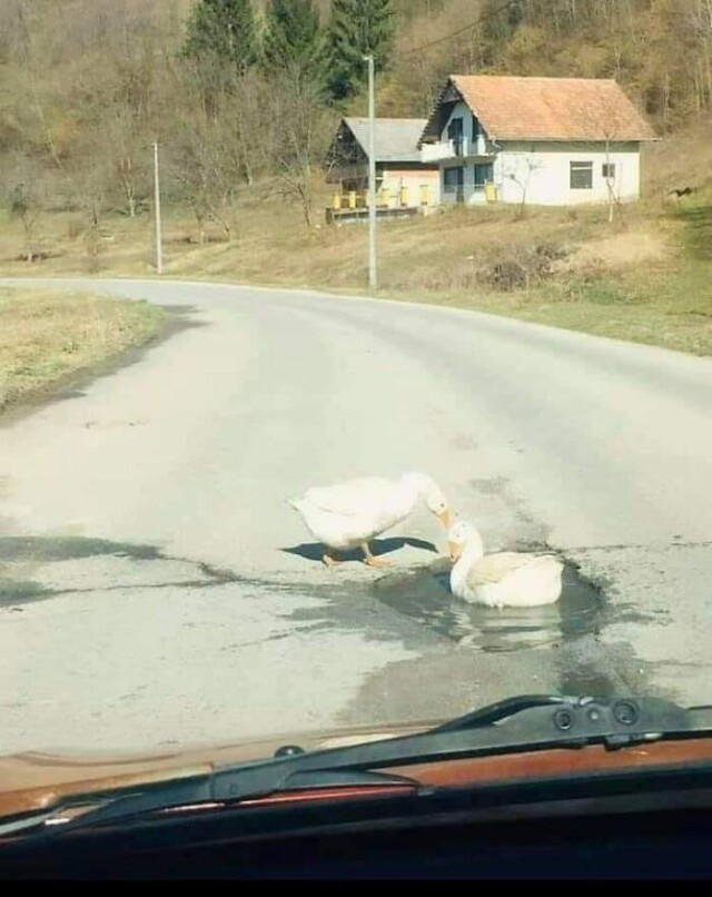 Ще одна колекція фотографій, які вас розчулюють