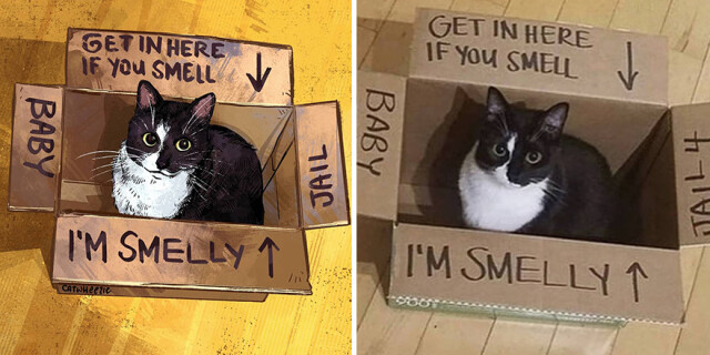 Новые мемные котики от Catwheezie (фото)