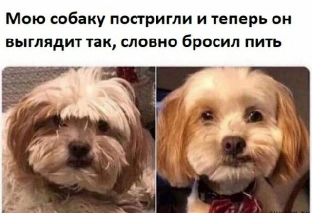 Прикольные мемы субботнего дня