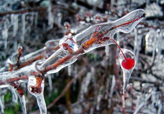 Природа дивовижна