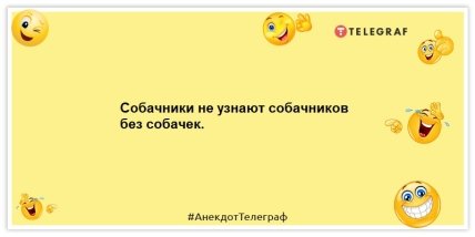 Анекдоты про животных -Собачники не узнают собачников без собачек.