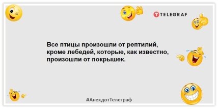 Анекдоты про животных -Все птицы произошли от рептилий, кроме лебедей, которые, как известно, произошли от покрышек.