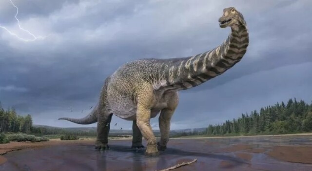  Интересные факты про динозавров, которые вас поразят