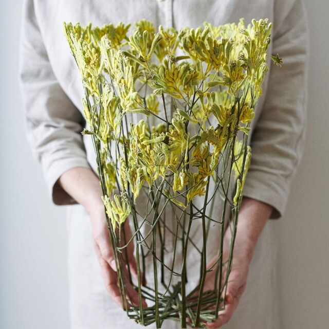 Красиві вази для любителів сухоцвітів (фото)