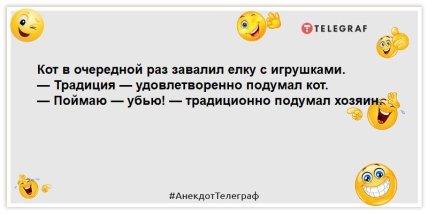 шутка про кота и елку